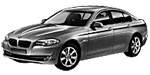 BMW F10 P1BDF Fault Code